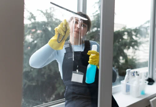Nettoyage de vitres intérieures et extérieures à Fontrailles